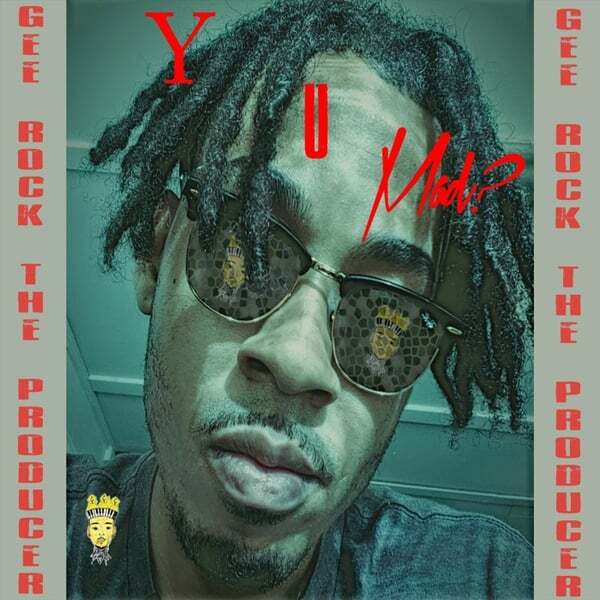 Cover art for Y U Mad?